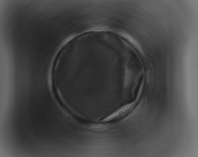 X0000101121229200807101536