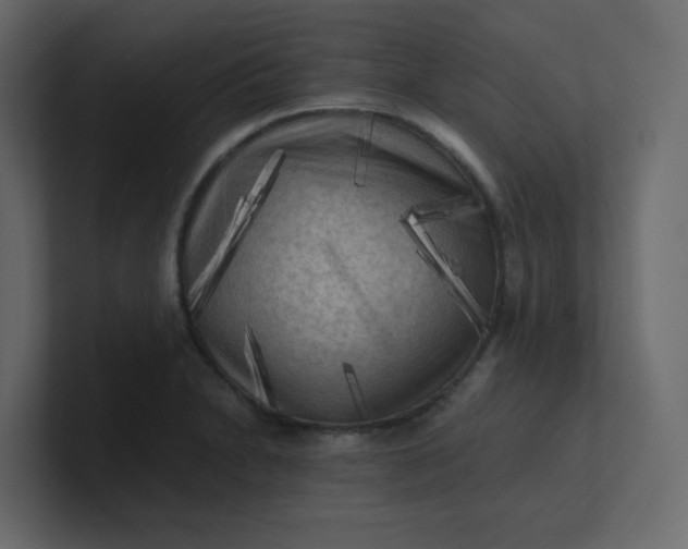 X0000101121230200807101536