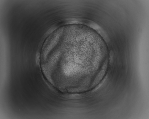 X0000101121233200807101536