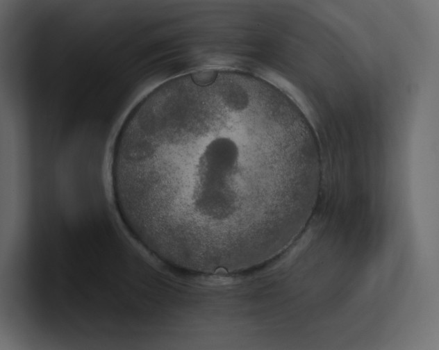 X0000101121235200807101536