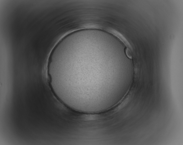 X0000101121236200807101536