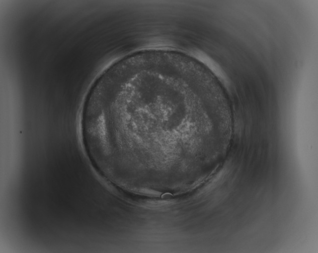 X0000101121237200807101536