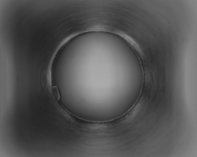 X0000101121238200807101536