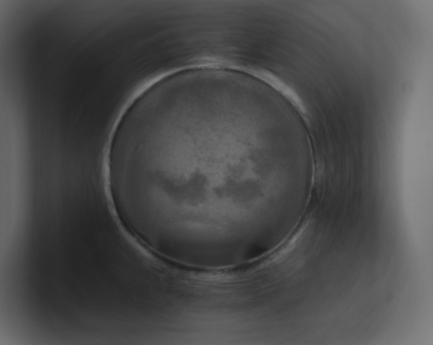 X0000101121239200807101536