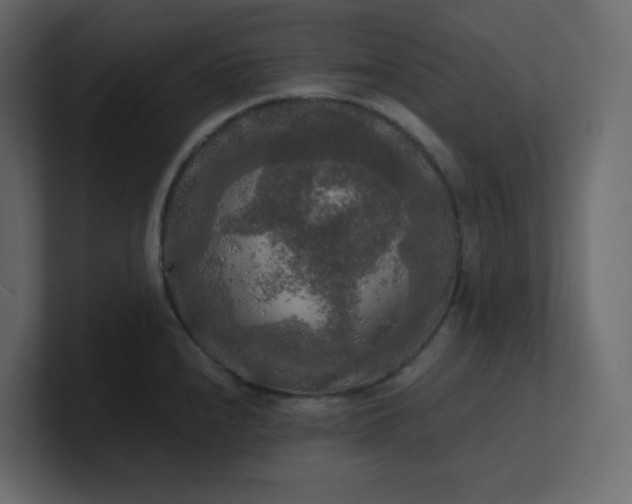 X0000101121240200807101536