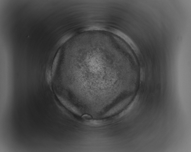 X0000101121241200807101536