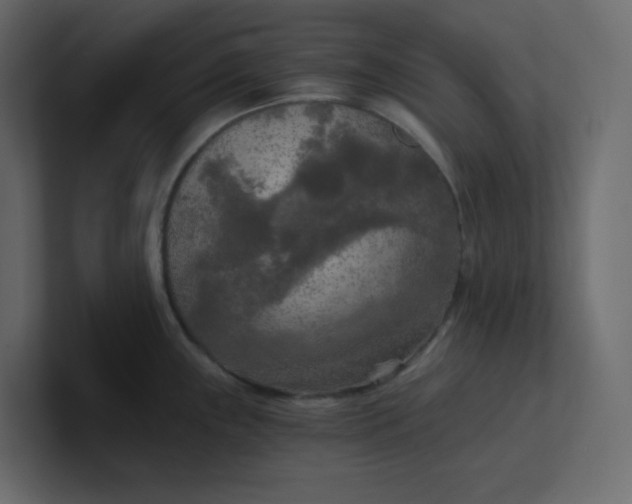 X0000101121243200807101536