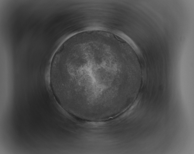X0000101121244200807101536