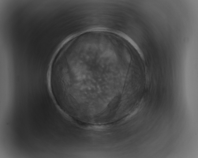 X0000101121245200807101536