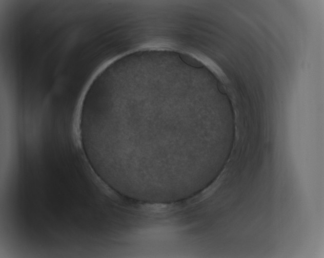 X0000101121248200807101536