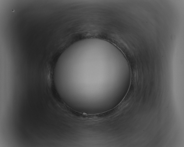 X0000101121250200807101535