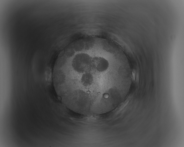X0000101121251200807101535