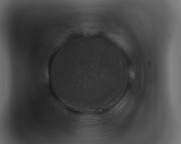 X0000101121252200807101535