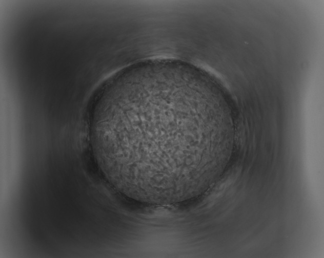 X0000101121255200807101535
