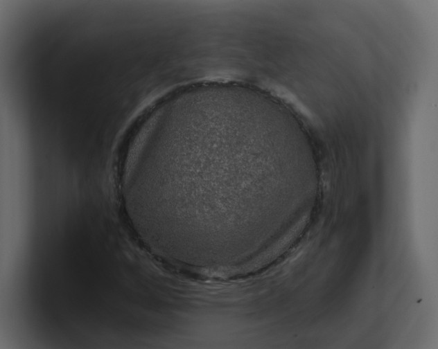 X0000101121256200807101535