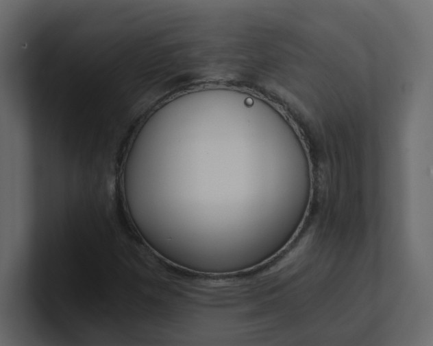 X0000101121257200807101535