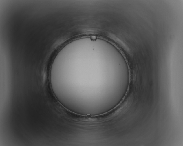 X0000101121261200807101535