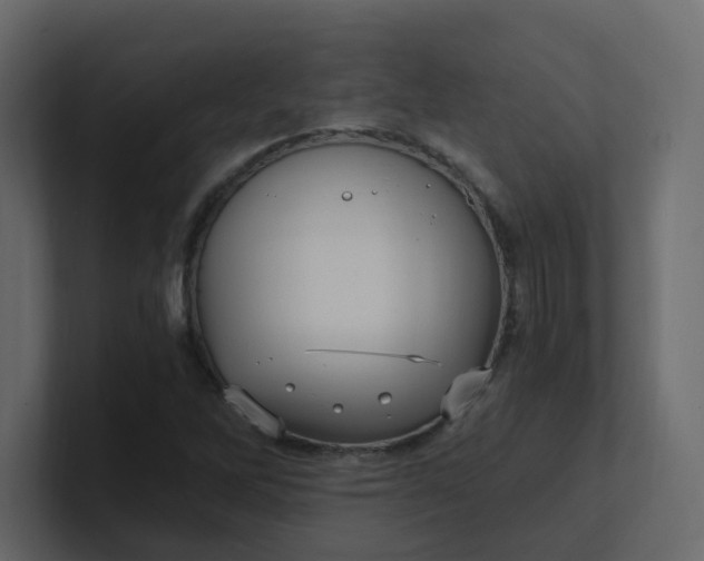 X0000101121262200807101535
