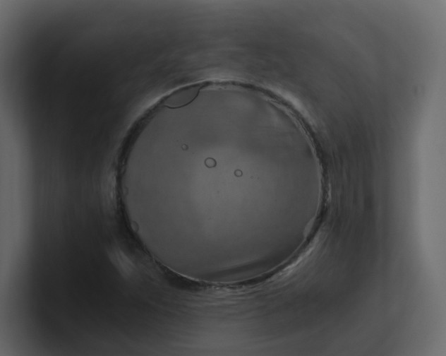 X0000101121263200807101535