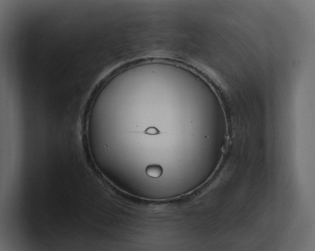 X0000101121264200807101535