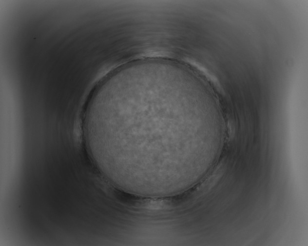 X0000101121266200807101535
