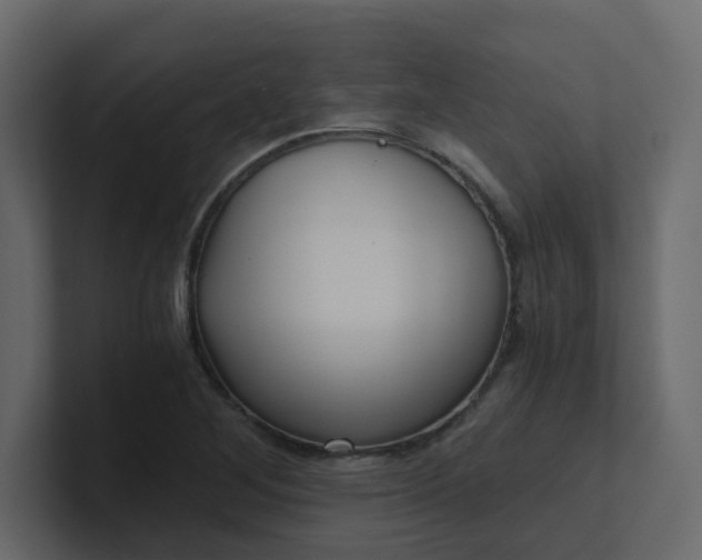 X0000101121268200807101535