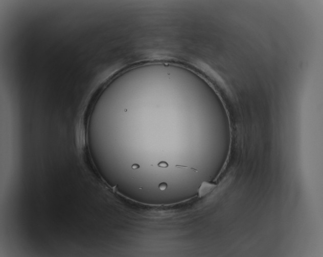 X0000101121269200807101535