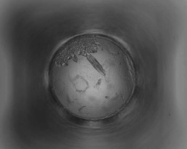 X0000101121271200807101535