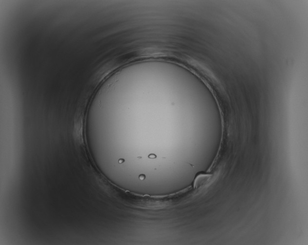 X0000101121273200807101535