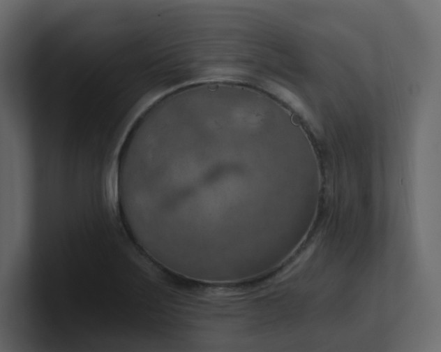 X0000101121275200807101535