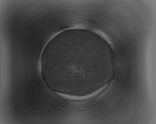 X0000101121276200807101535