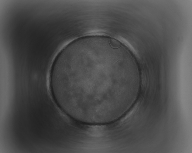 X0000101121277200807101535