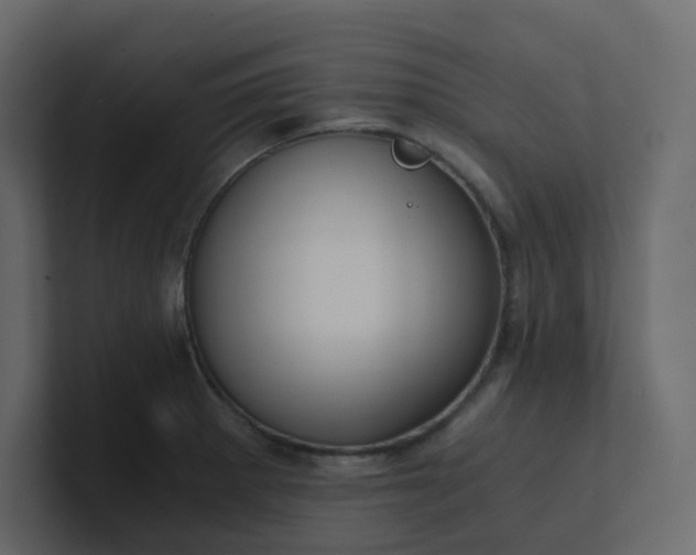X0000101121281200807101535