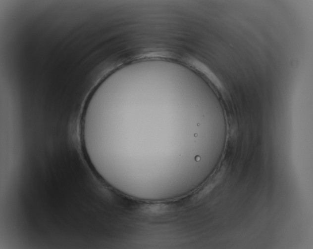 X0000101121282200807101535