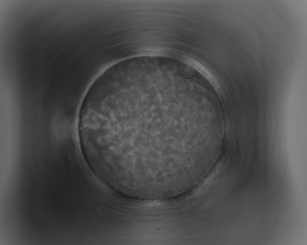 X0000101121283200807101535