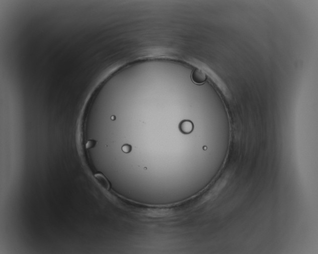 X0000101121285200807101535