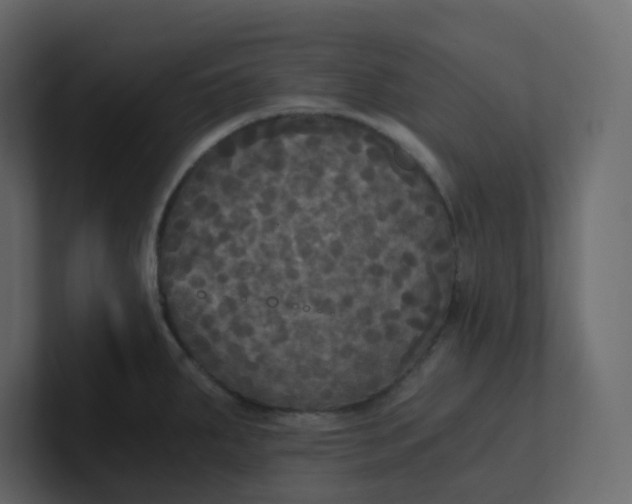 X0000101121287200807101535