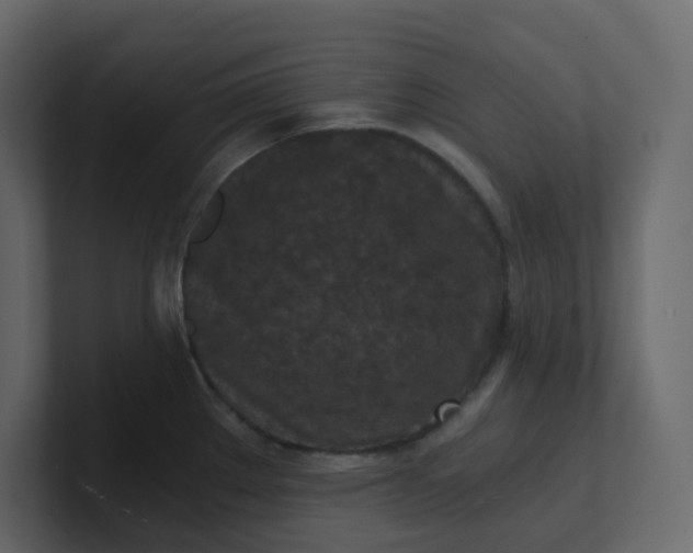 X0000101121289200807101535