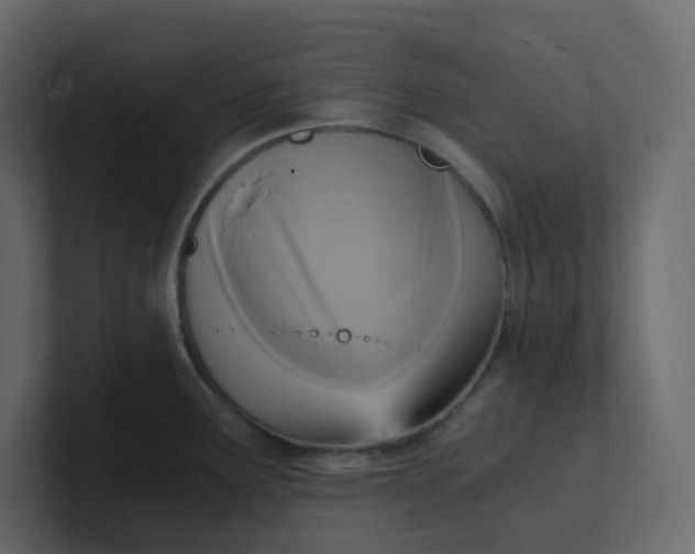 X0000101121291200807101535