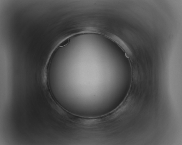 X0000101121292200807101535