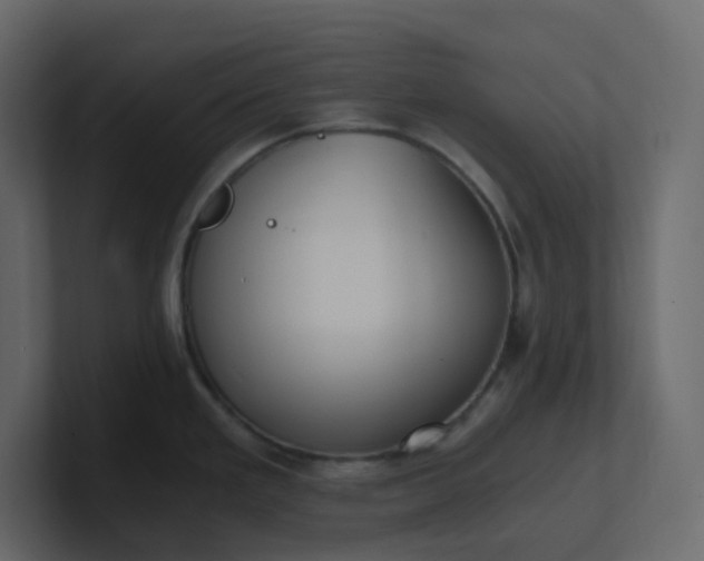 X0000101121293200807101535