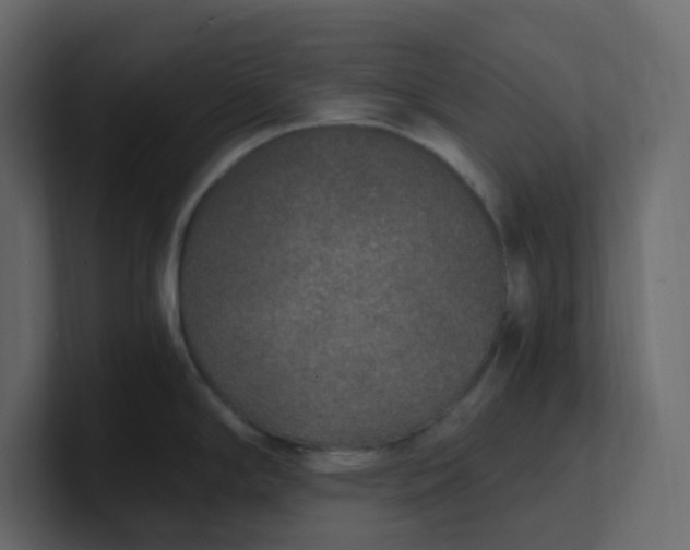 X0000101121294200807101535