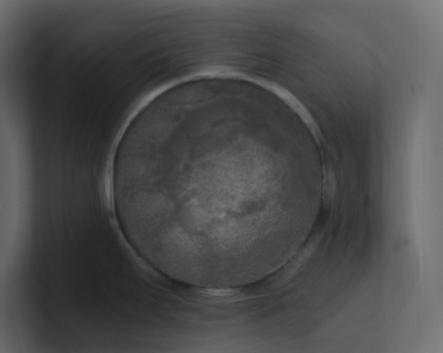 X0000101121295200807101534