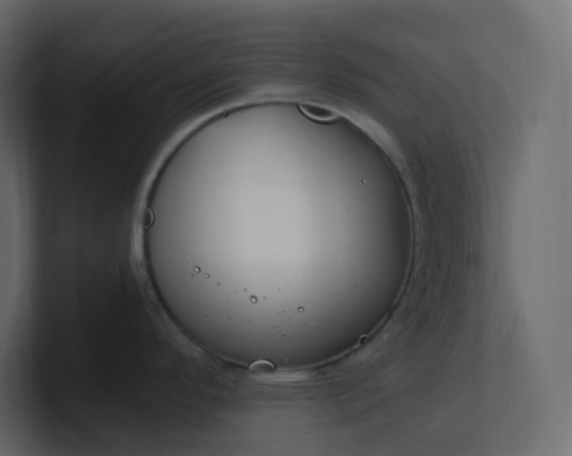 X0000101121296200807101534