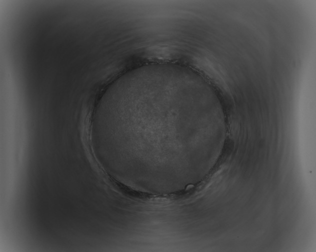 X0000101121297200807101534