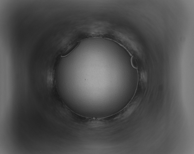 X0000101121300200807101534