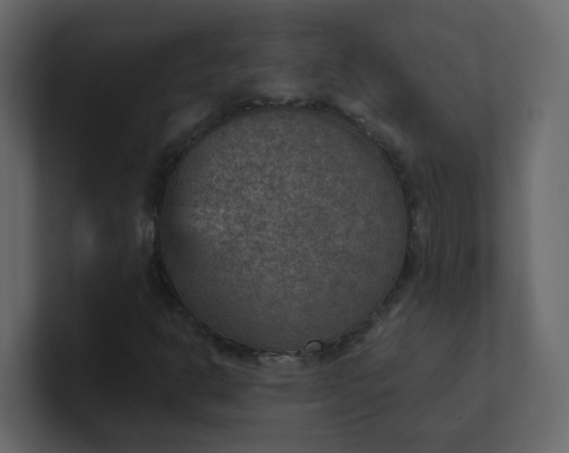X0000101121302200807101534