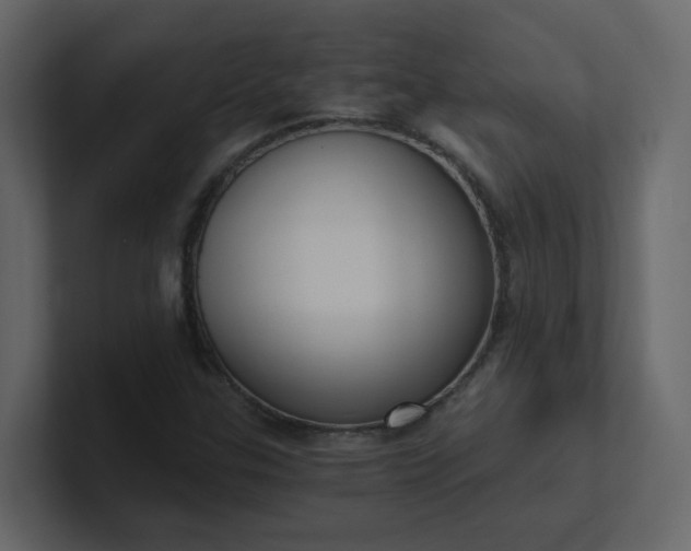 X0000101121307200807101534