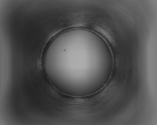 X0000101121308200807101534