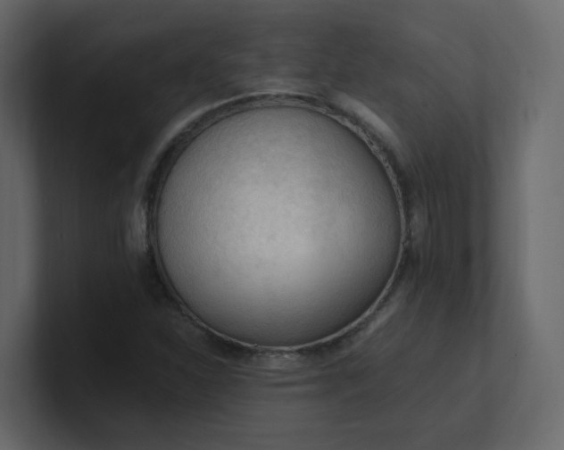 X0000101121310200807101534
